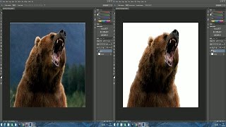 [TUTO] Comment détourer une image sur Photoshop