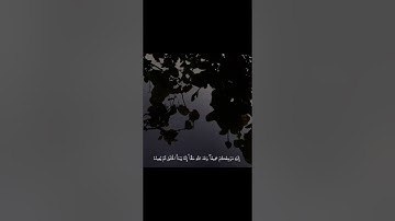 ( إِلَيْهِ مَرْجِعُكُمْ جَمِيعًا وَعْدَ اللهِ حَقًّا) من سورة يونس🤍