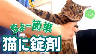 お薬が苦手な猫にスルッと投薬する方法がこちらです