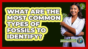 What Are The Most Common Types Of Fossils To Identify? - Earth Science Answers