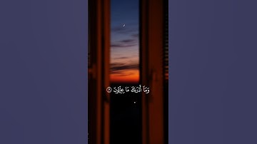 ﴿ وَمَا أَدْرَاكَ مَا عِلِّيُّونَ ﴾ سورة المطففين || القارئ الشيخ ياسر الدوسري