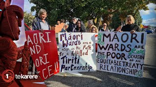 Waitangi Tribunal claims filed over Māori wards bill