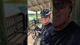 Spoonbill Pond Boardwalk at Big Talbot Island | Jacksonville's Most Beautiful Bike Ride