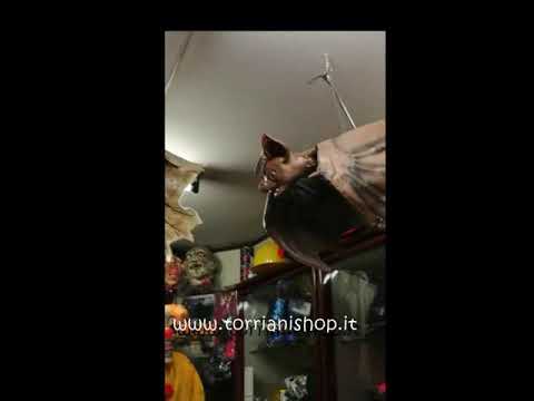 arriva nuovo prezzi al dettaglio compra meglio Torriani la Bottega del Carnevale tutto Halloween - YouTube arriva nuovo prezzi al dettaglio compra meglio Torriani la Bottega del Carnevale tutto Halloween - YouTube