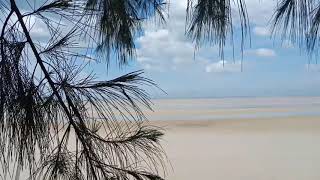Story Wa pemandangan Pantai Ketapang | Video Background | No Copyright