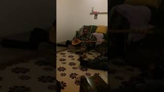 Ersoy Gülen birdost bulamadım