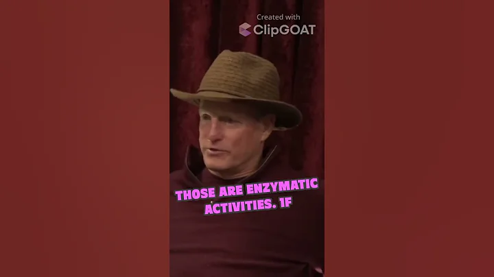 Woody Harrelson's Raw Vegan Diet  The Power of Enzymes and Living Foods