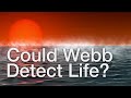 Could James Webb detect alien life on Hycean planets?