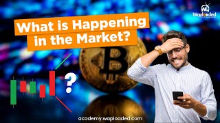 What is happening in the market (Bitcoin July 27th)