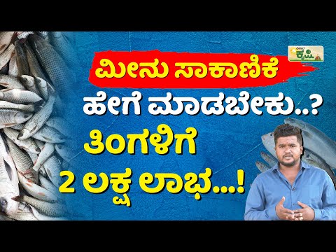 ಮೀನಿಗೆ ಯಾವ ನೀರು, ಟ್ಯಾಂಕ್‌ ಸೂಕ್ತ...? | Meenu Sakanike | Fish Farming Business In Kannada