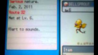 Shiny Bellsprout appears in SS after 20000 encounters! screenshot 5