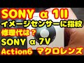 SONY α1Ⅱのイメージセンサーに指紋 修理に出したら・・・ DJI Osmo Action6 マクロレンズ開封 α7Vのリークについて