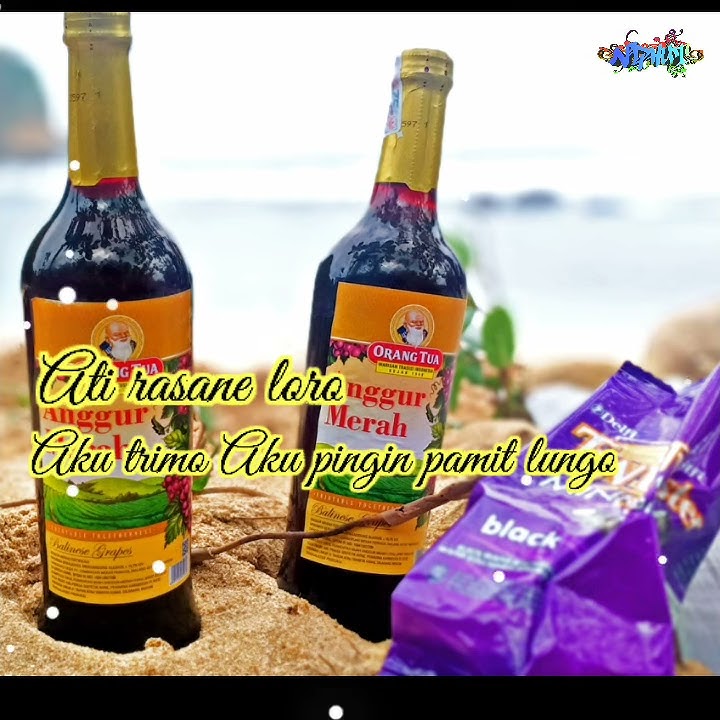 Story Wa Galau 30detik | dj Safira Inema NUTUPI LARAKU