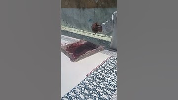 Block Printing is one of the oldest techniques known & practised to date. #print #blockprinting