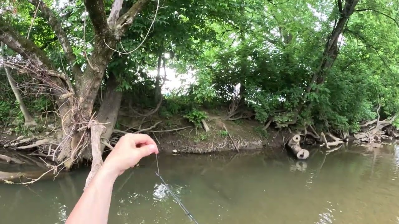 Fishing in Sevierville | Bass Fishing