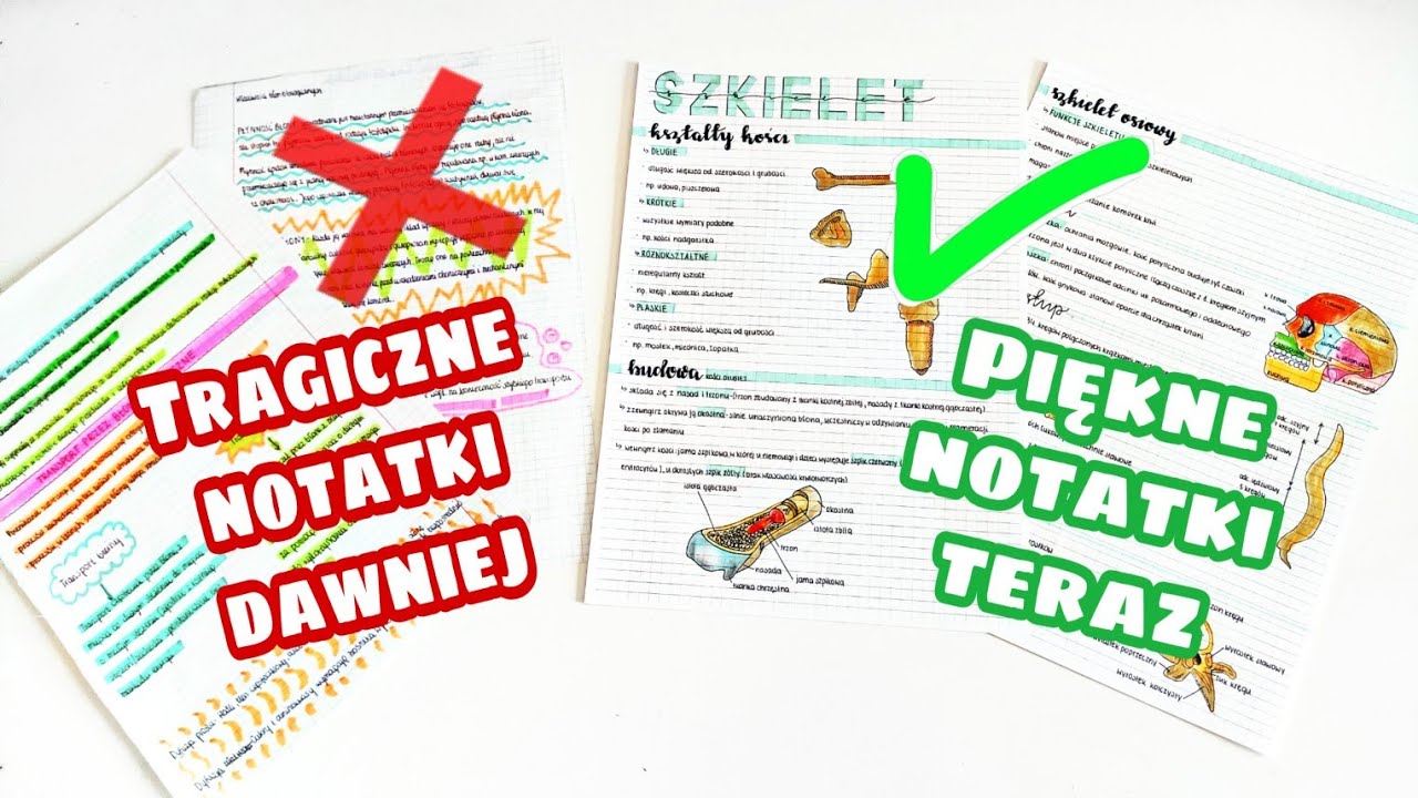 JAK NIE ROBIĆ NOTATEK?! 🙅 Czyli przegląd moich notatek z liceum 🤭