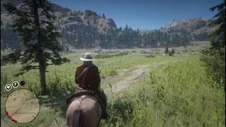 Red Dead Redemption 2 - Free Litchfield Repeater - Chp 6 Quest -  Mrs Sadie Adler Widow