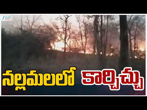 Massive Forest Fire in Amrabad Nallamala Forest | నల్లమలలో కార్చిచ్చు | ZEE Telugu News - ZEE24TELUGUNEWS
