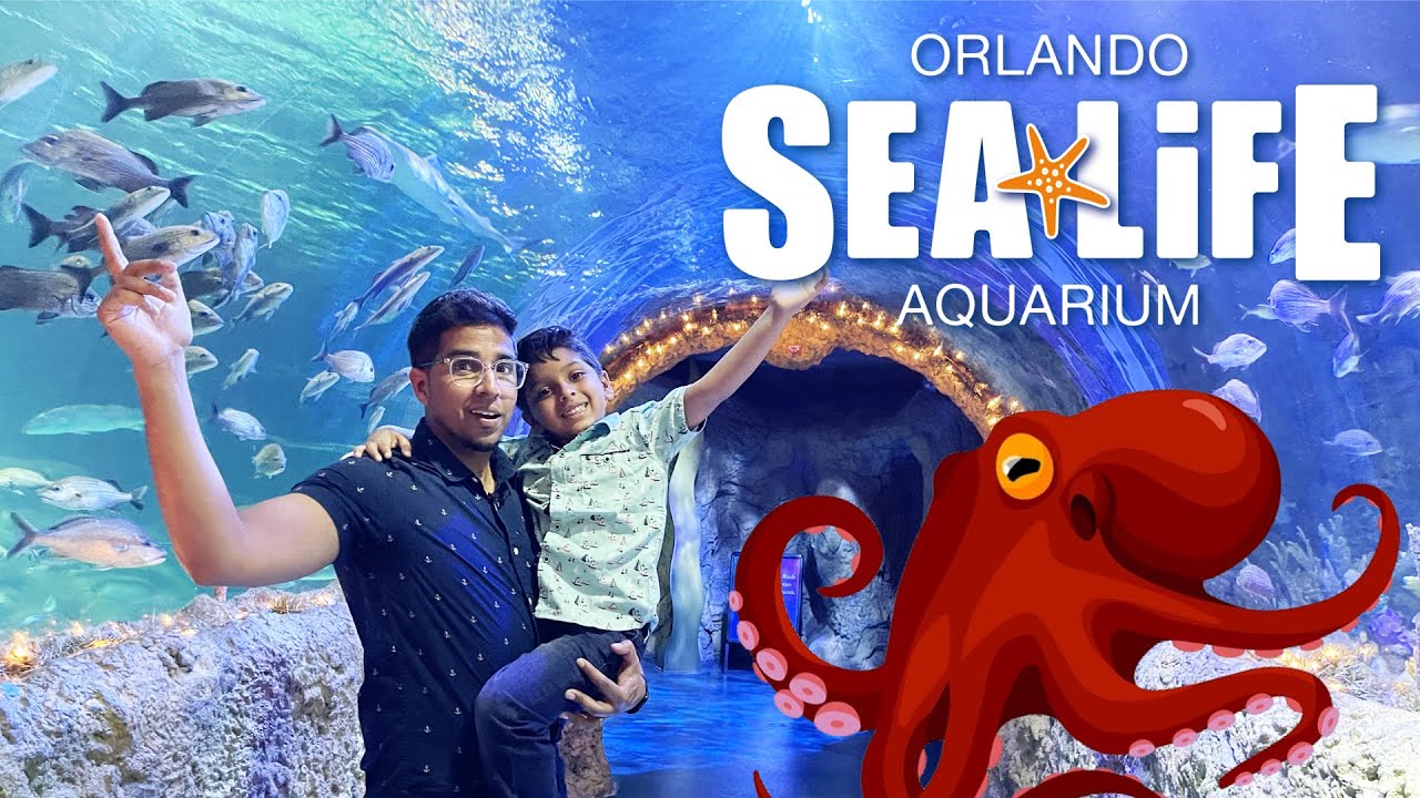 Feeding a GIANT Octopus at SEA LIFE Orlando! Aquarium Walk Through