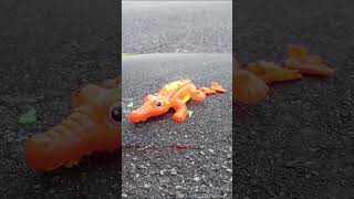 Crushing Crunchy &amp; Soft Things by Car | CrushVibes ASMR  #shorts  #00105