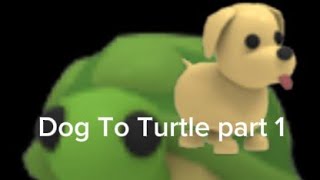 Dog to Turtle part 1 in adopt me #adoptme #roblox 