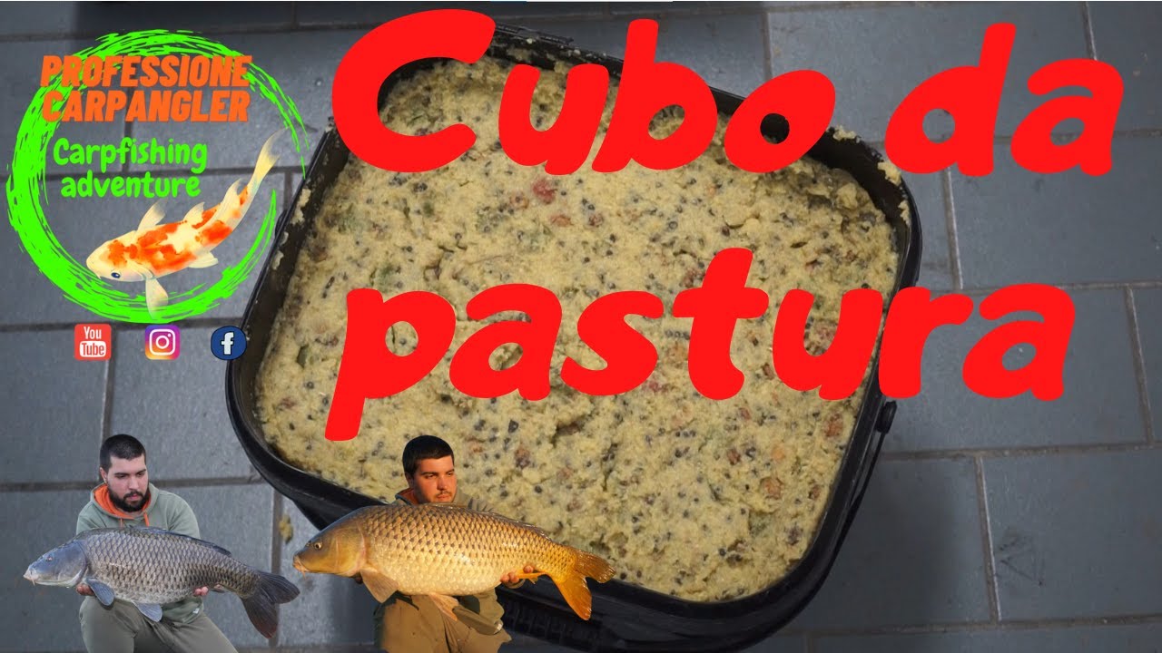 CARPFISHING Cubo da pastura per pasturazione prolungata in canale