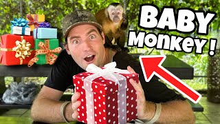 Teaching Baby Monkey How To Wrap Presents ! What Happens ?!