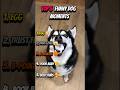 Ranking Funny Dog Moments 😂#shorts