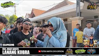 LANANG KOBRA - JUNAY ARISTA || PUTRA NAFITA CAYA || KALIPASUNG - CIREBON
