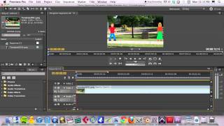 Export from Flash to Premeire or QuickTime Pro 7