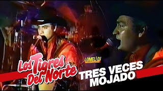 1992 - TRES VECES MOJADO - Tigres del Norte - en La Expo Guadalupe -