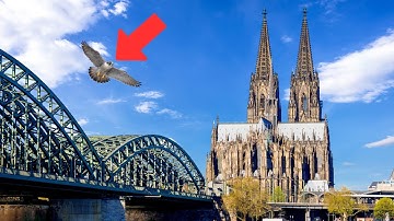 Only a Few Can Spot Them! Hidden Objects & Secrets of Cologne Cathedral in Germany!!