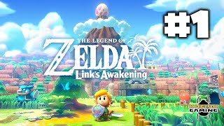 The Legend of Zelda: Links Awakening Walkthrough Part 1 | Nintendo Switch