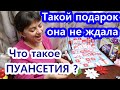 VLOG//Не ждала такой ПОДАРОК// Что такое ПУАНСЕТИЯ?  Открываем мастерскую? Ищем пингвинов.