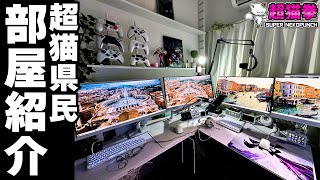 Introducing the Super Cat Prefecture Resident's Serious Room! 2023