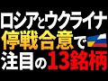【徹底解説】ロシア・ウクライナ停戦決定で動く日本株13選！インフラ・防衛株の行方