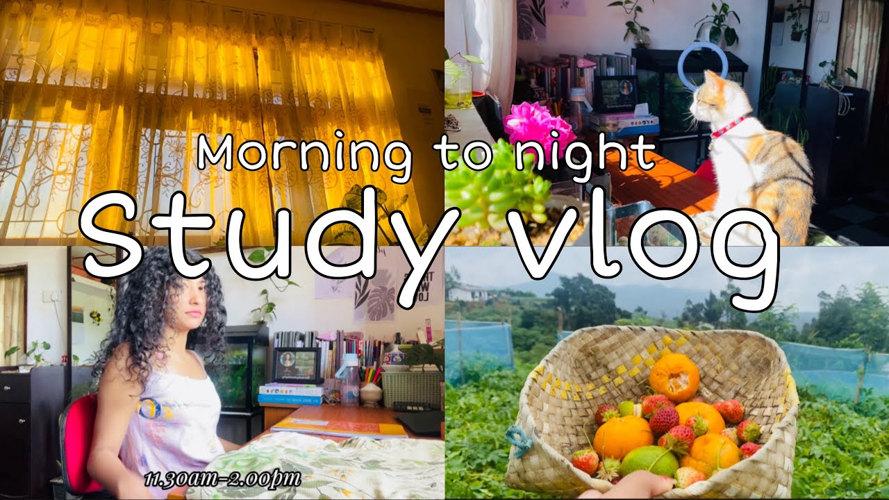 A Day in my life🌈🌿🍓| දවසම පාඩම් කරපු දවසක්| study vlog srilanka|#studyvlog #studymotivation 🍄📚