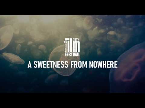 A Sweetness From Nowhere (2026) | Official Trailer | Cambridge Film Festival 2026