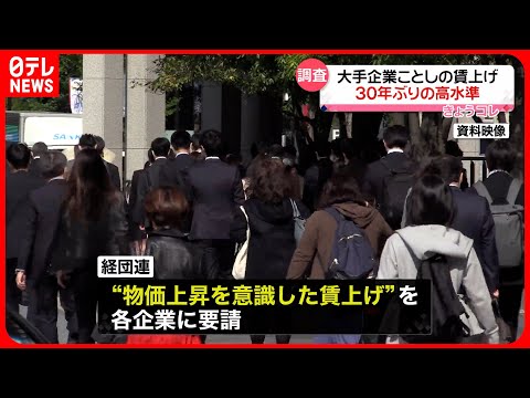 【調査】大手企業の賃上げが30年ぶりの高水準　経団連「大きな手応え」