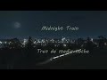 Dj Okawari - Midnight Train ft Emi Meyer (Lyrics English - Español)