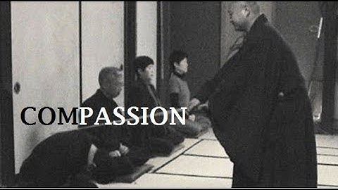 The Difference between Pity and Compassion