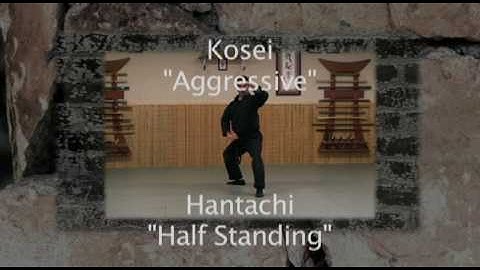 Ninjutsu Training - KAMAE DEMONSTRATION - 9TH KYU - Bujinkan Instruction Online