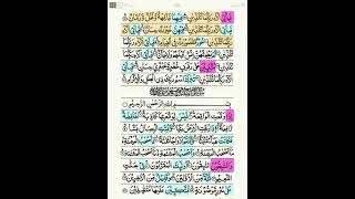 Surah 55 Ar Rehman Verses 67-78 Words Highlighted Recitation S.Husayni Azazi.Subscribe-Share-Like