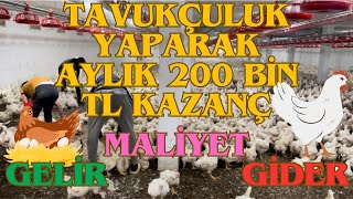 50000 Tavuk Kesime Gitti Kazanç Hesaplama / A dan Z ye bütün giderler