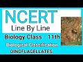 Dinoflagellates / Biological Classification/Biology class 11th /NCERT LINE BY LINE/ NCERT Sphere