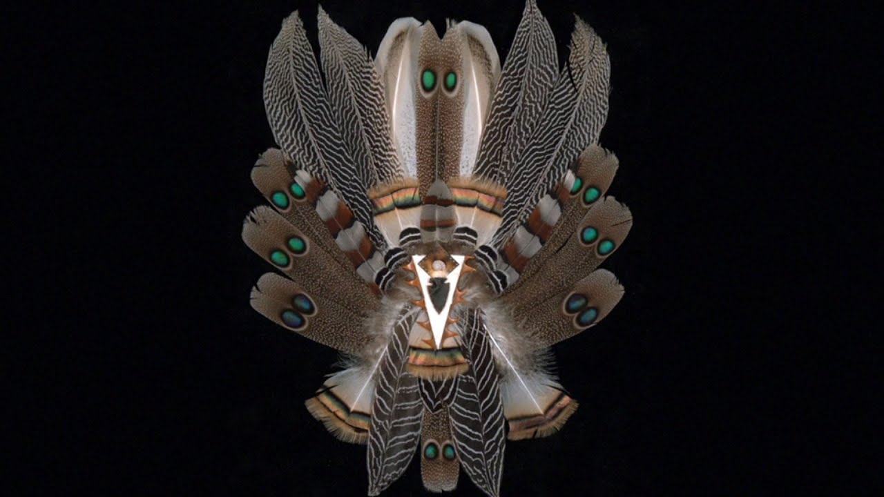 television rules the nation Anne Shroader, Feather Artist | Art Loft 249 Segment