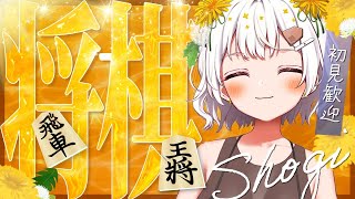 たんぽぽちゃん / 将棋アイドルの配信のサムネイル画像