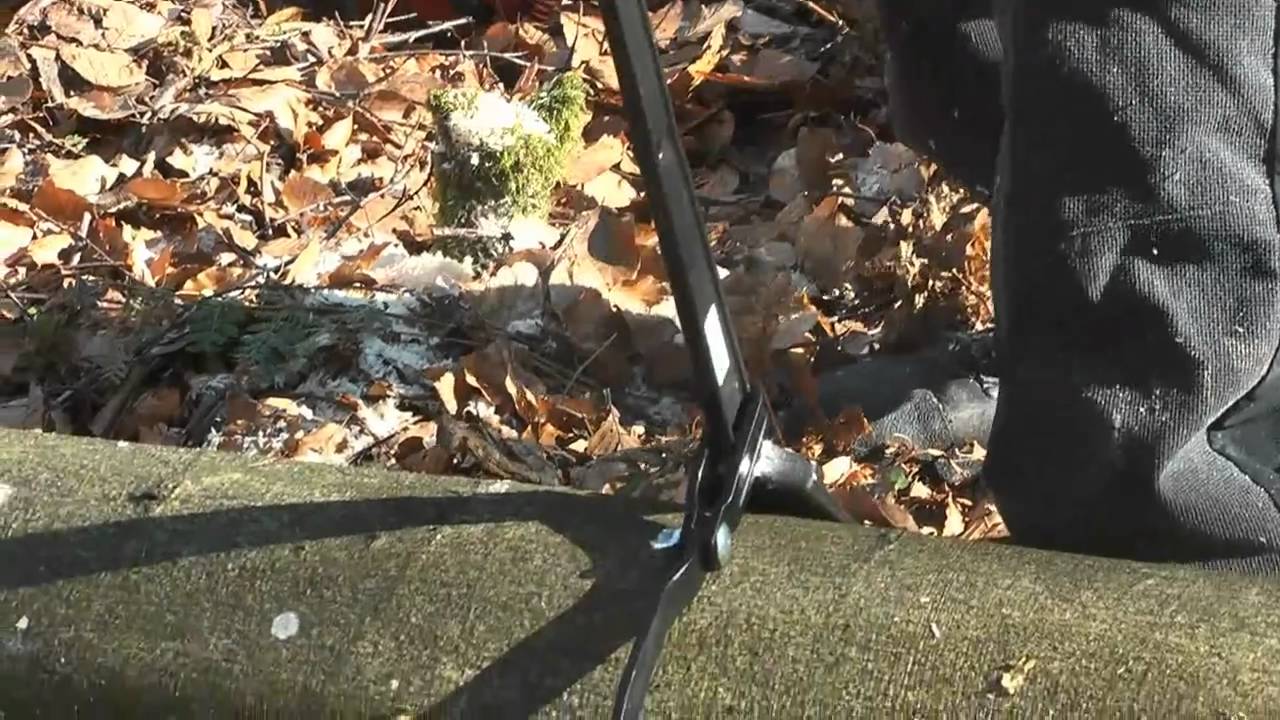 Motorsavens brug i skoven - med skovløber Preben Palsgaard