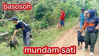 Download Lagu Tiba tiba babi kluar sambil tertawa  MP3 Download Lagu Tiba tiba babi kluar sambil tertawa  MP3