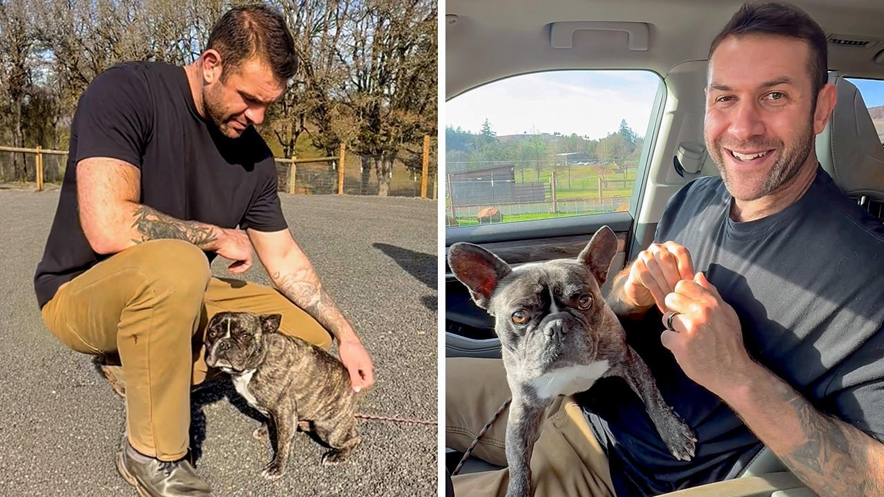 No Rescues Would Take This Dog… So We Did